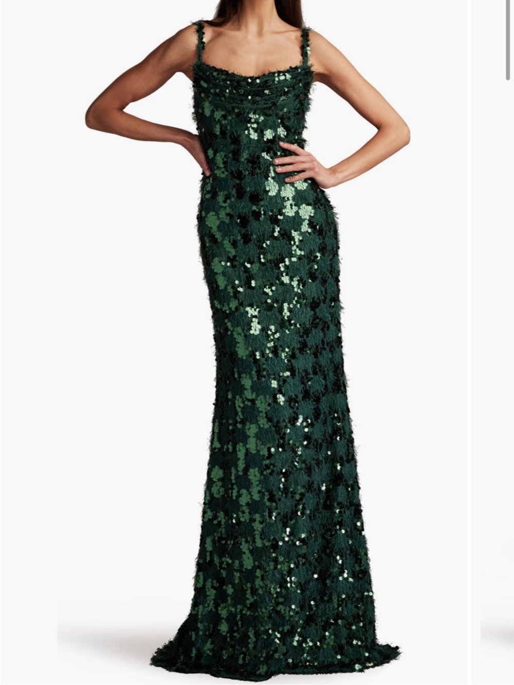 Sequin & Fringe Gown